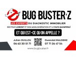 DIAG.IMMO-BZH / BUG BUSTER'Z 56620