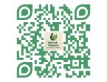 54800 Brainville